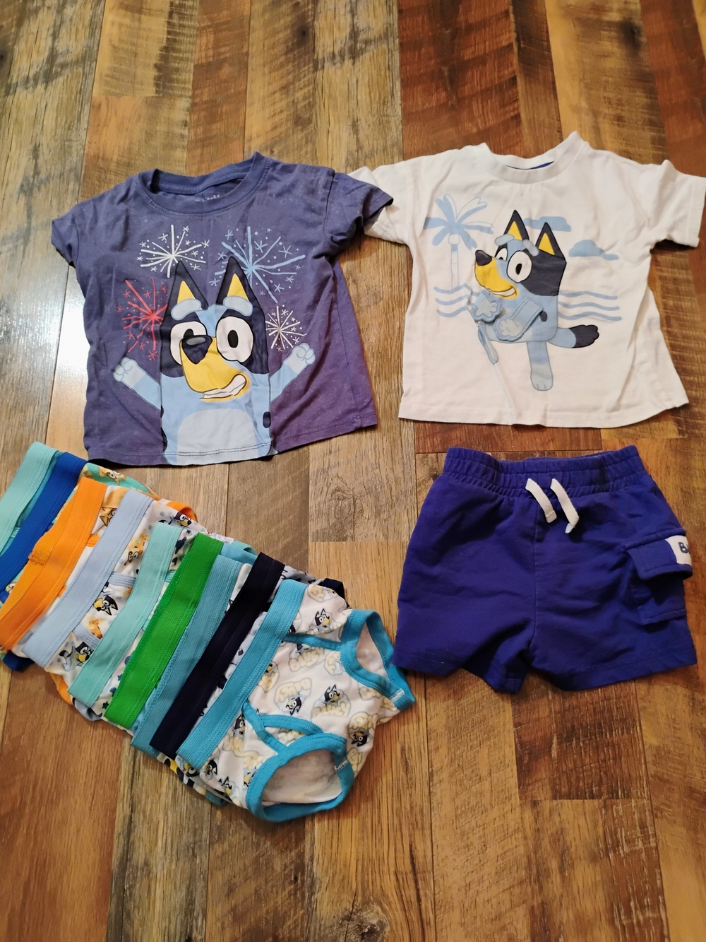 Bluey Boys Puppy Tee & Shorts Size 2t
